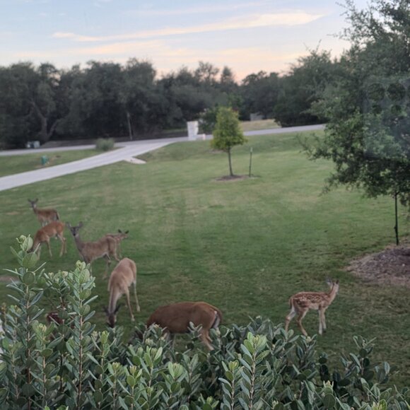 Welcome to my closet. I am open to bundle offers. - Picture 2 of 16